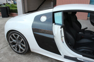 Cstar Carbon Seitenteile Seitenwände Sideblades Lufteinlässe für Audi R8 42 V10