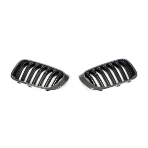Cstar Carbon ABS Nieren Grill passend für BMW X3 F25 X4 F26