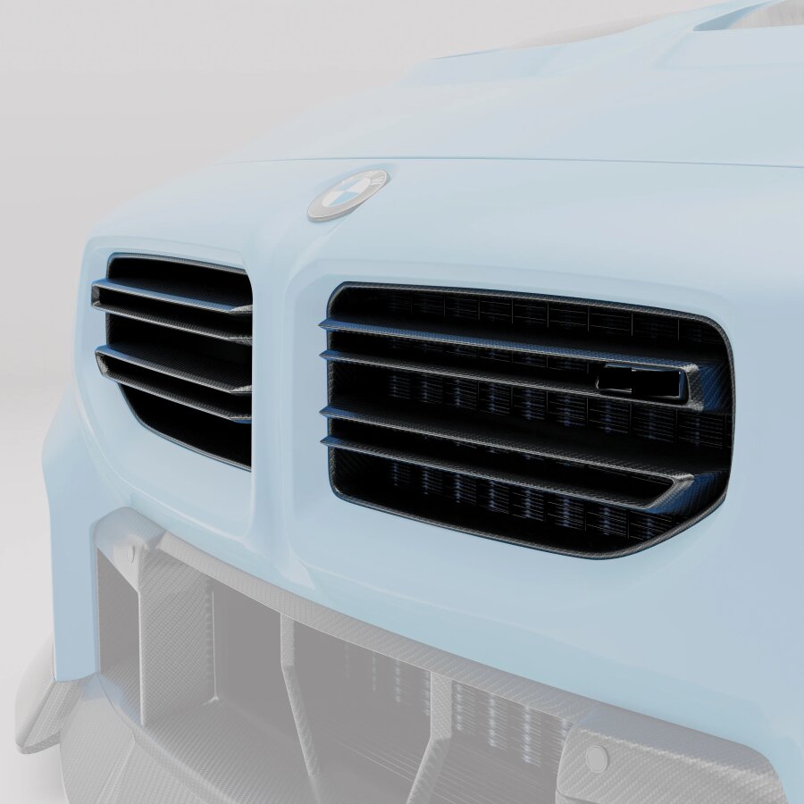 RZ Carbon Grill Nieren passend für M2 G87