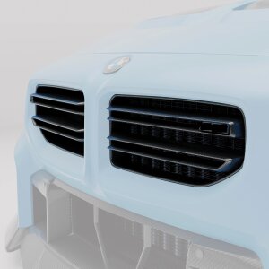 RZ Carbon Grill Nieren passend für M2 G87
