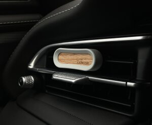 Zapicon Duftholz Autoduft – 9 Duftrichtungen