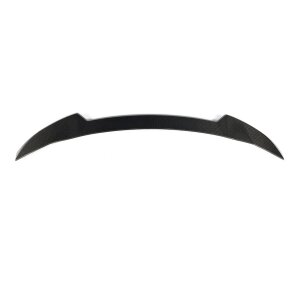 Cstar Carbon Gfk Dachspoiler passend für BMW XM G09