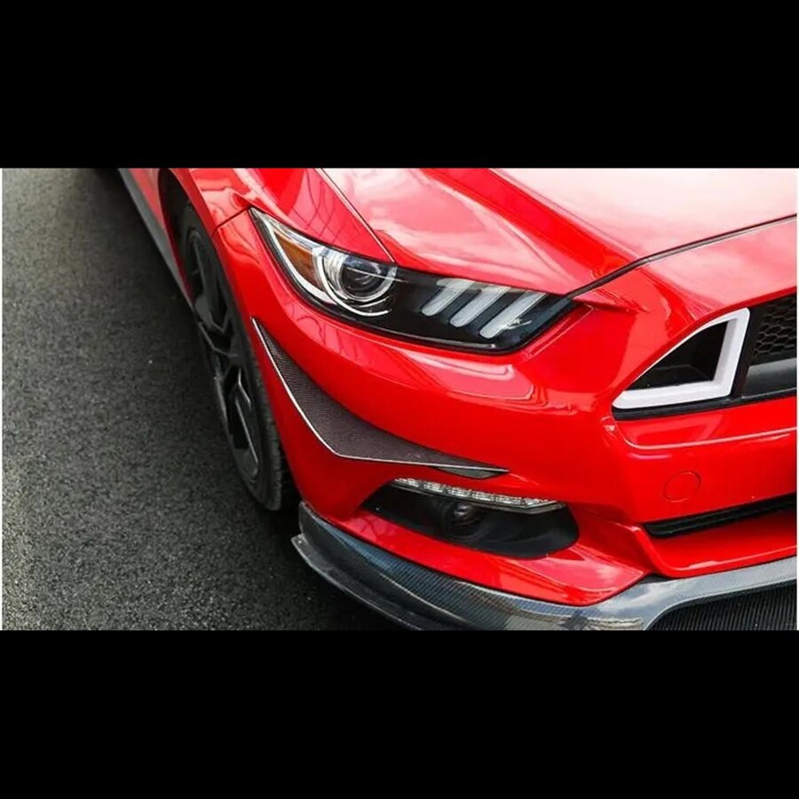 Cstar Carbon Gfk Canards vorne passend für Ford...